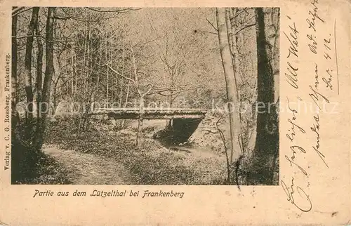 AK / Ansichtskarte Frankenberg_Sachsen Luetzelthal Panorama Frankenberg Sachsen