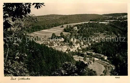 AK / Ansichtskarte Bad_Gottleuba Berggiesshuebel Panorama Bad