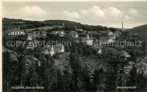 AK / Ansichtskarte Bad_Gottleuba Berggiesshuebel Panorama Bad