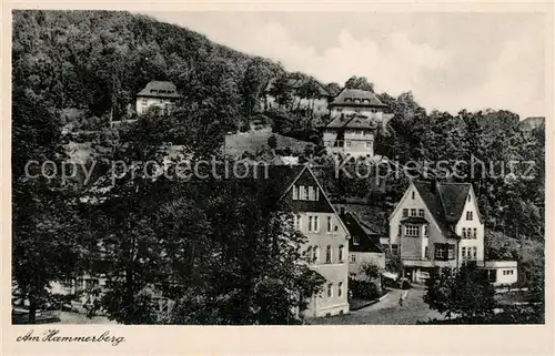 AK / Ansichtskarte Oberschlema_Erzgebirge Am Hammerberg  Oberschlema_Erzgebirge