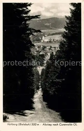 AK / Ansichtskarte Bieleboh Huhberg Abstieg Cunewalde Bieleboh