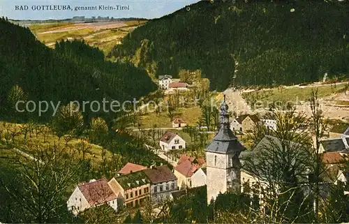 AK / Ansichtskarte Bad_Gottleuba Berggiesshuebel Panorama Kirche Bad