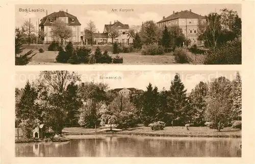 AK / Ansichtskarte Lausick_Bad Kurpark Schwanteich Lausick_Bad