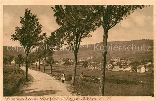 AK / Ansichtskarte Carlsberg Allee Panorama Carlsberg