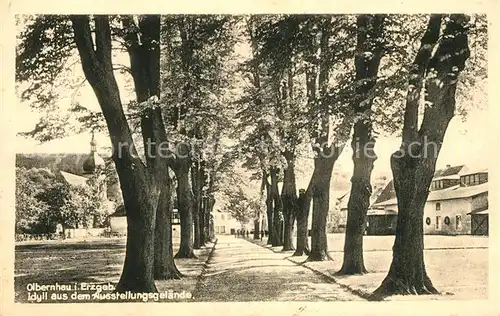 AK / Ansichtskarte Olbernhau_Erzgebirge Idyll Ausstellungsgelaende Olbernhau Erzgebirge