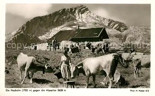 AK / Ansichtskarte Foto_Huber_H._Nr. 612 Hochalm Alpspitze Kuehe  Foto_Huber_H._Nr.
