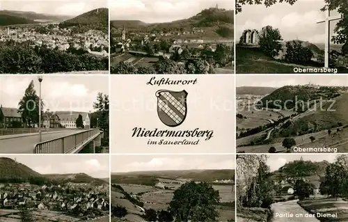 AK / Ansichtskarte Niedermarsberg Panorama Bruecke Teilansichten Diemelpartie Niedermarsberg