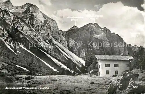 AK / Ansichtskarte Herzebenalm im Pinnistal Herzebenalm