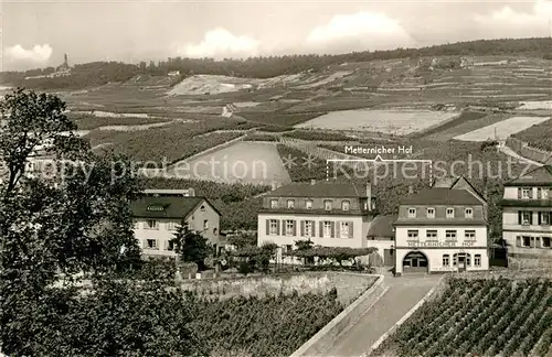 AK / Ansichtskarte Ruedesheim_Rhein Hotel Restaurant Metternicher Hof Fuchshoehle Ruedesheim Rhein