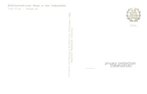 AK / Ansichtskarte Schalkenmehren Schalkenmehrener Moor Landschaftspanorama Schafherde Schalkenmehren