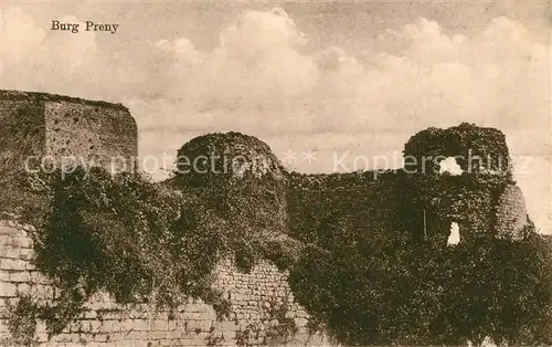 AK / Ansichtskarte Preny Burg Ruine Preny