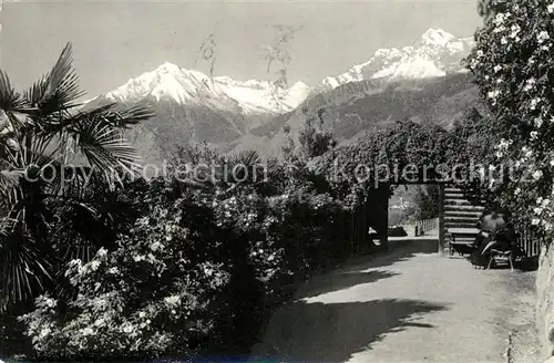 AK / Ansichtskarte Meran_Merano Tappeiner Promenade Passeggiata Tappeiner Texelgruppe Meran Merano