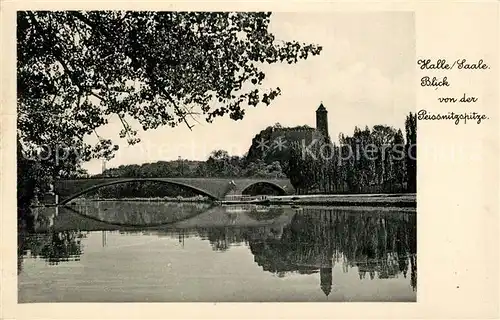 AK / Ansichtskarte Halle_Saale Blick von der Peissnitzspitze Bruecke Burg Giebichenstein Bromsilber Imitation Halle_Saale