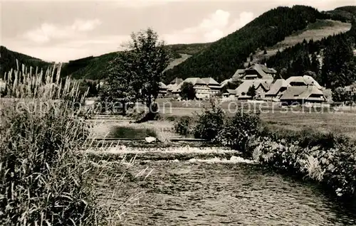 AK / Ansichtskarte Menzenschwand Partie an der Alb Schwarzwald Menzenschwand