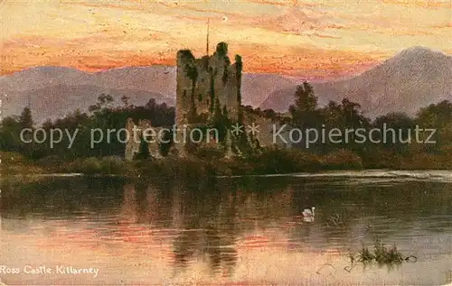 AK / Ansichtskarte Killarney_Kerry Ross Castel Killarney_Kerry