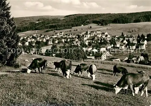 AK / Ansichtskarte Schonach_Schwarzwald Kuhherde Panorama Schonach Schwarzwald