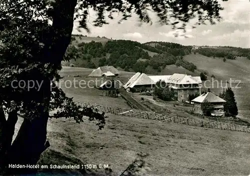 AK / Ansichtskarte Schauinsland Hotel Halden Schauinsland