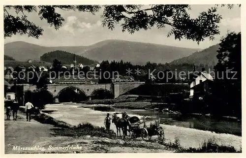 AK / Ansichtskarte Muerzzuschlag Pferdewagen Bruecke Panorama Muerzzuschlag