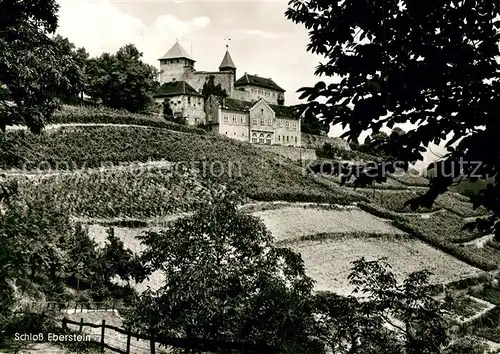 AK / Ansichtskarte Karlsruhe_Baden Schloss Eberstein Karlsruhe_Baden