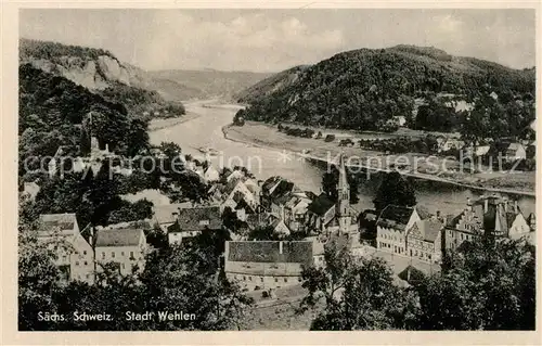 AK / Ansichtskarte Wehlen_Sachsen Panorama Blick ueber die Elbe Wehlen_Sachsen