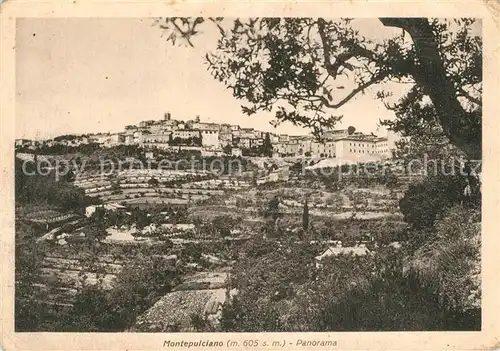 AK / Ansichtskarte Montepulciano Panorama Montepulciano