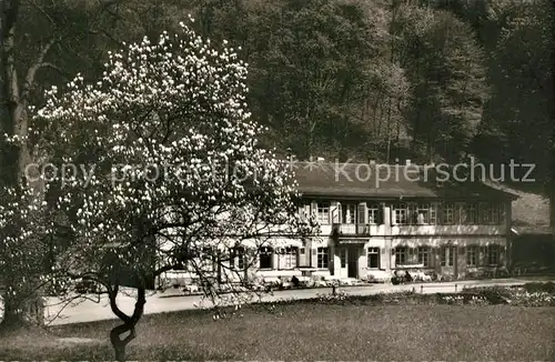 AK / Ansichtskarte Bensheim_Auerbach_Bergstrasse Fuerstenlager Herrenhaus Bensheim_Auerbach