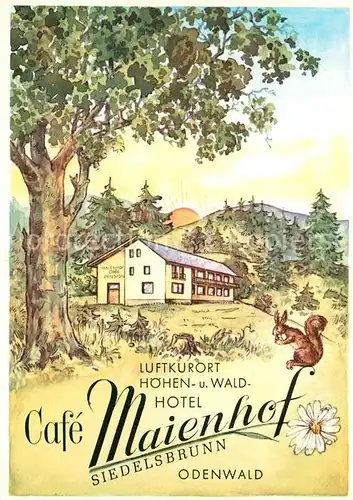 AK / Ansichtskarte Siedelsbrunn Cafe Maienhof Hoehen und Waldhotel Siedelsbrunn