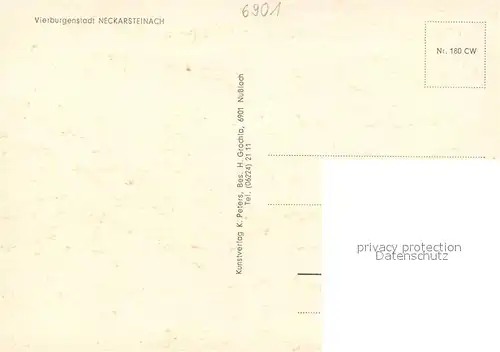 AK / Ansichtskarte Neckarsteinach Panorama Burg Neckarsteinach