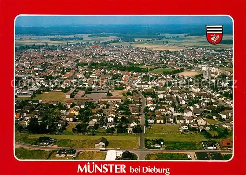 AK / Ansichtskarte Muenster_Dieburg Fliegeraufnahme Muenster_Dieburg