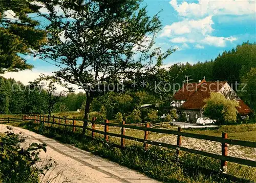 AK / Ansichtskarte Hammelbach Haus Annemarie Gassbachtal Hammelbach