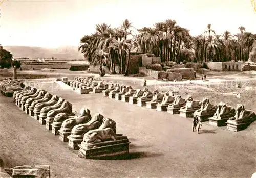 AK / Ansichtskarte Karnak_Egypt The Avenue of Sphinxes Karnak Egypt