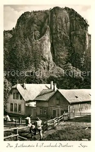 AK / Ansichtskarte Tambach Dietharz Der Falkenstein Tambach Dietharz