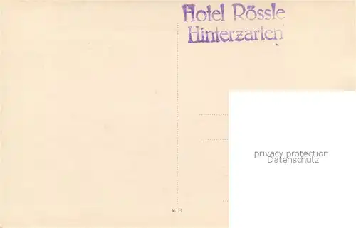 AK / Ansichtskarte Hinterzarten Hotel Roessle Hinterzarten