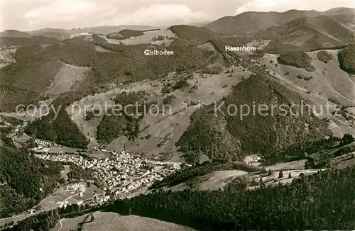 AK / Ansichtskarte Todtnau Gisiboden Hasenhorn Fliegeraufnahme Todtnau
