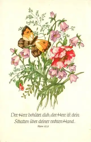 AK / Ansichtskarte Schmetterlinge Blumen  