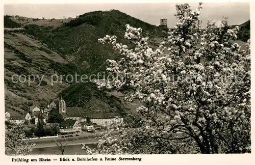 AK / Ansichtskarte Bornhofen_Kamp Durchblick zum Ort mit Ruine Sterrenberg Fruehling am Rhein Bornhofen Kamp