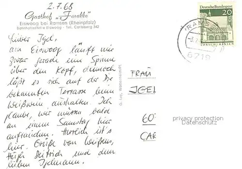 AK / Ansichtskarte Eiswoog Gasthof Forelle Wintergarten Seeblick Bootfahren Eiswoog