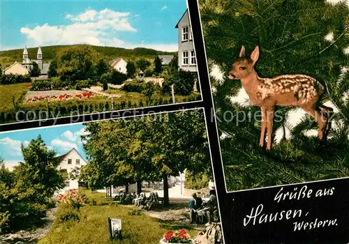 AK / Ansichtskarte Hausen_Westerwald Panorama Rehkitz Hausen_Westerwald