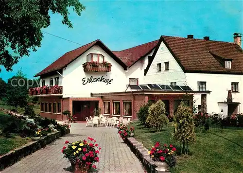 AK / Ansichtskarte Waldernbach Restaurant Erlenhof Waldernbach