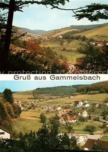 AK / Ansichtskarte Gammelsbach Panorama Gasthaus Zum kuehlen Krug Gammelsbach