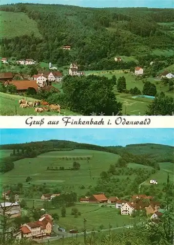 AK / Ansichtskarte Finkenbach_Odenwald Panorama Finkenbach Odenwald
