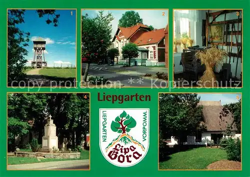AK / Ansichtskarte Liepgarten Aussichtsturm Heimatstube Gefallenendenkmal  Liepgarten