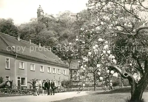 AK / Ansichtskarte Greiz_Thueringen Eingang zum Leninpark Greiz Thueringen