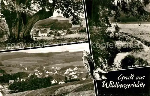 AK / Ansichtskarte Wildbergerhuette Landschaftspanorama Aubachtal Fehmlinde Eichhoernchen Wildbergerhuette