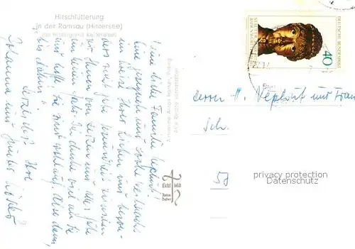 AK / Ansichtskarte Hintersee_Berchtesgaden Hirschfuetterung in der Ramsau im Hintergrund Reiteralpe Hintersee Berchtesgaden