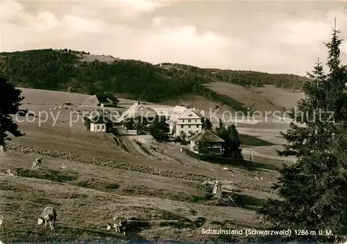 AK / Ansichtskarte Schauinsland Hotel Haldenhof Landschaftspanorama Schwarzwald Schauinsland
