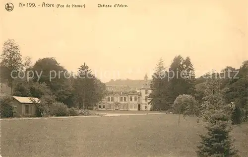 AK / Ansichtskarte Arbre_Namur Chateau Arbre Namur