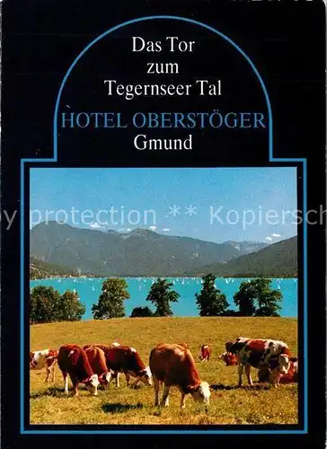 AK / Ansichtskarte Gmund_Tegernsee Hotel Oberstoeger Kuehe See Gmund Tegernsee