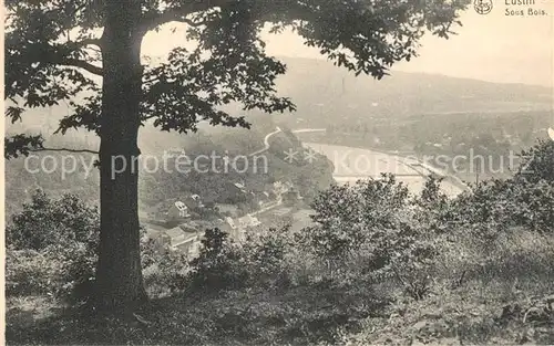 AK / Ansichtskarte Lustin Sous Bois Lustin