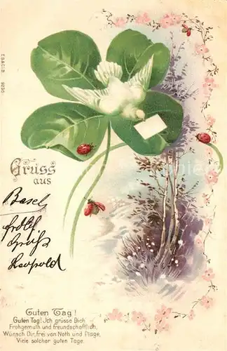 AK / Ansichtskarte Brieftaube Kleeblatt Marienkaefer Litho Gedicht  